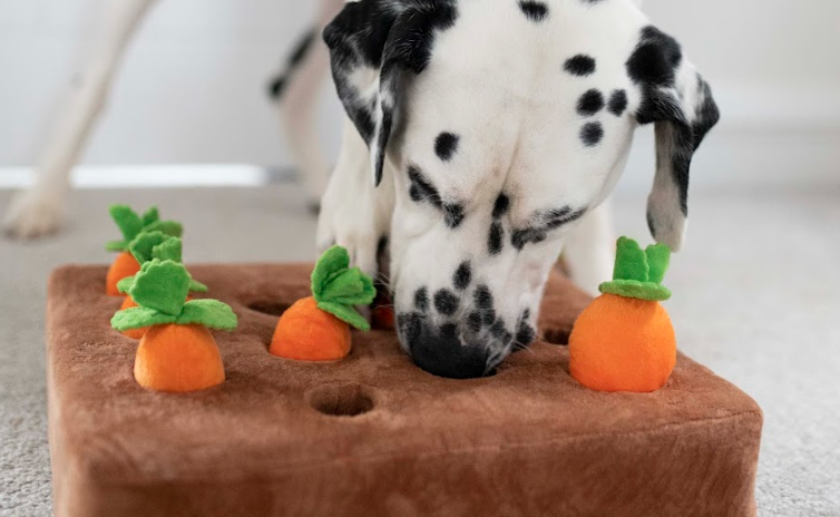 This carrot patch snuffle mat is an awesome nose work game for our pup