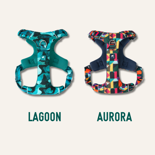 Adventure Harness 2.0