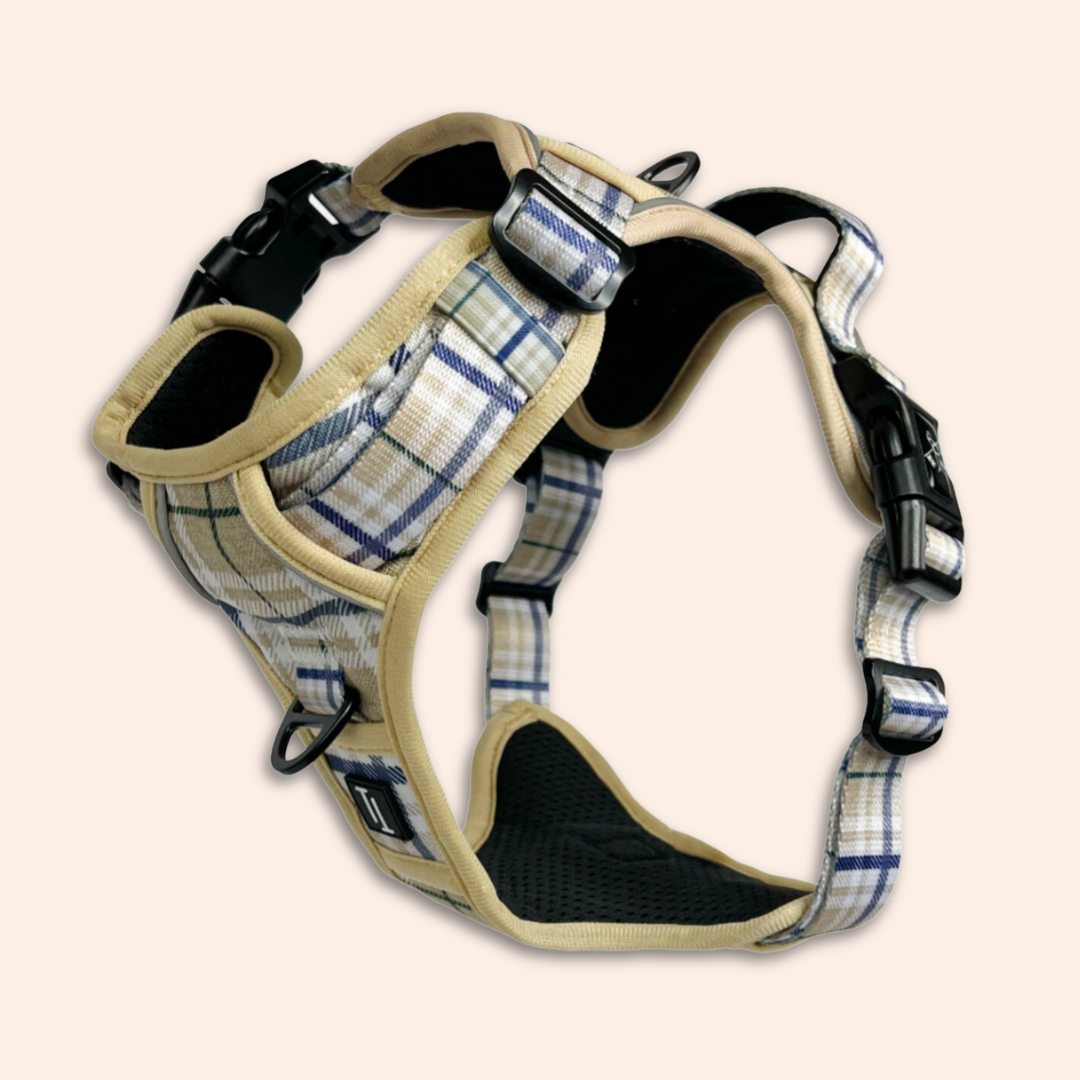 Adventure Harness - Heritage (Limited Edition)