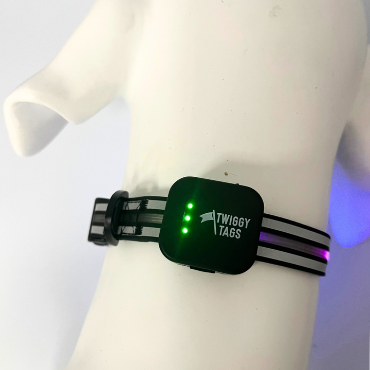 TrekBright® Light-Up Collar