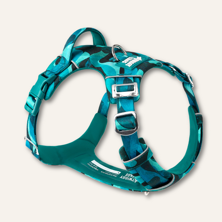 Adventure Harness 2.0
