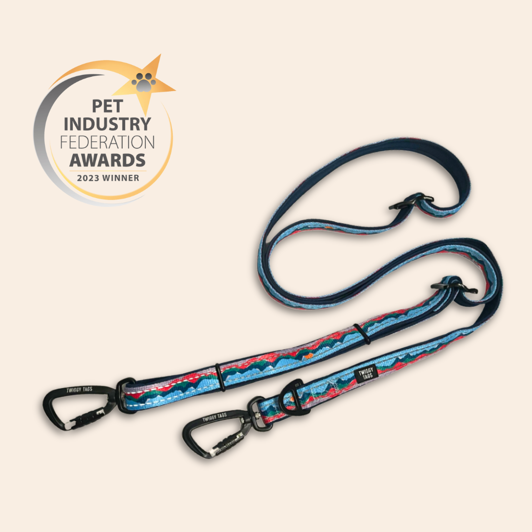 TrailFinder Multi Way Lead Sierra