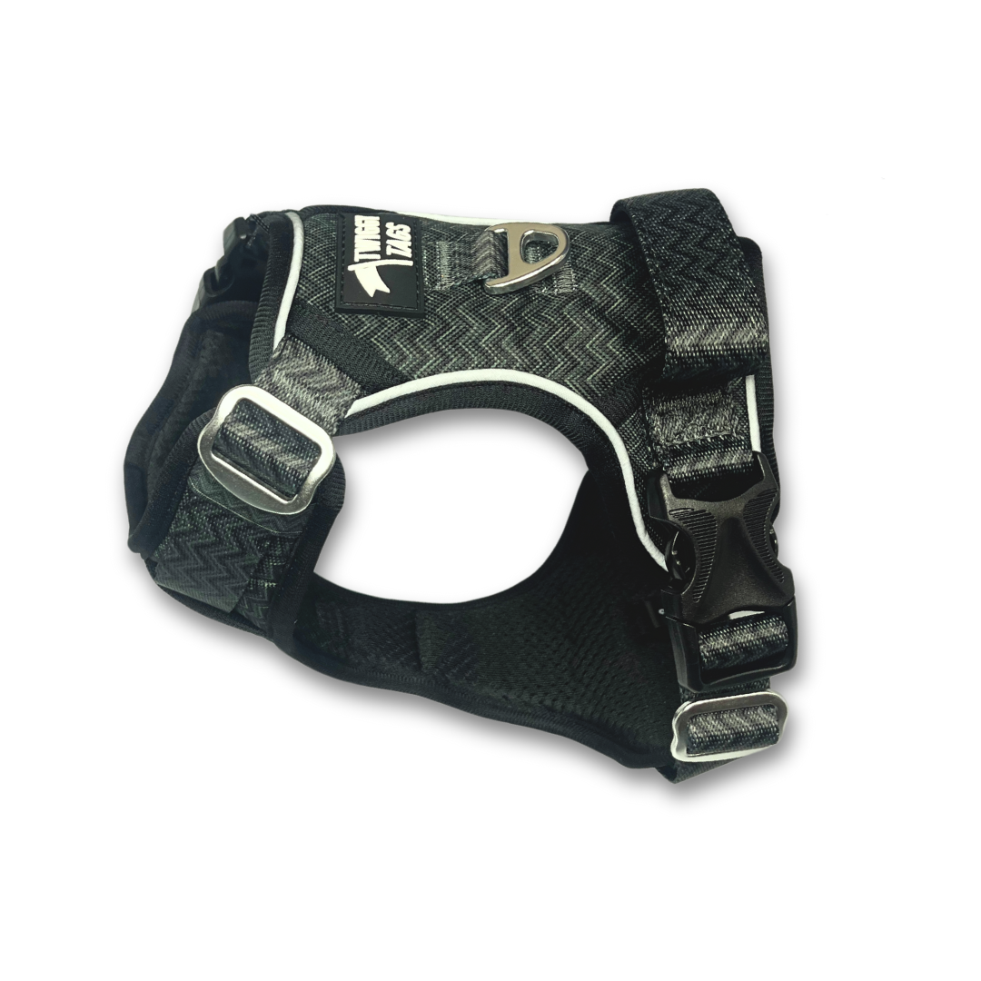 Blossom co dog sales collar