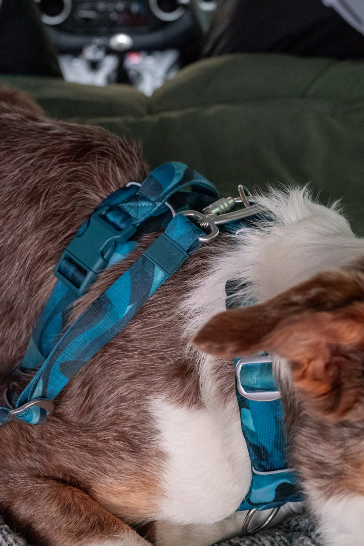 Headrest Seat Belt