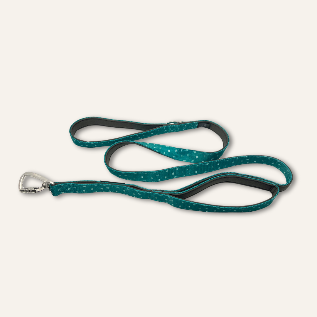 Adventure Close Control Lead - Tranquil