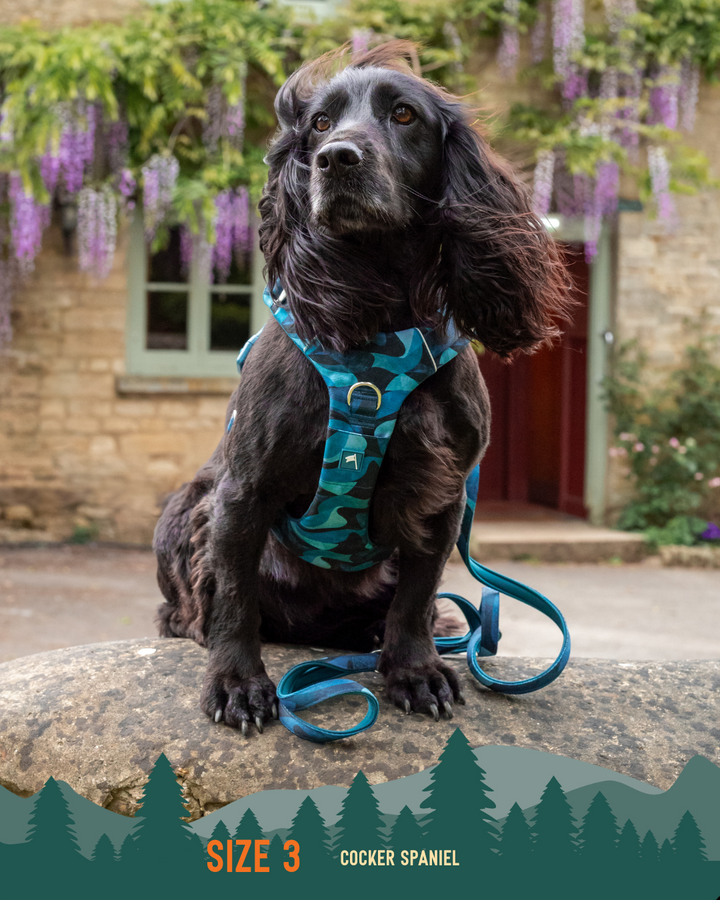 Adventure Harness 2.0