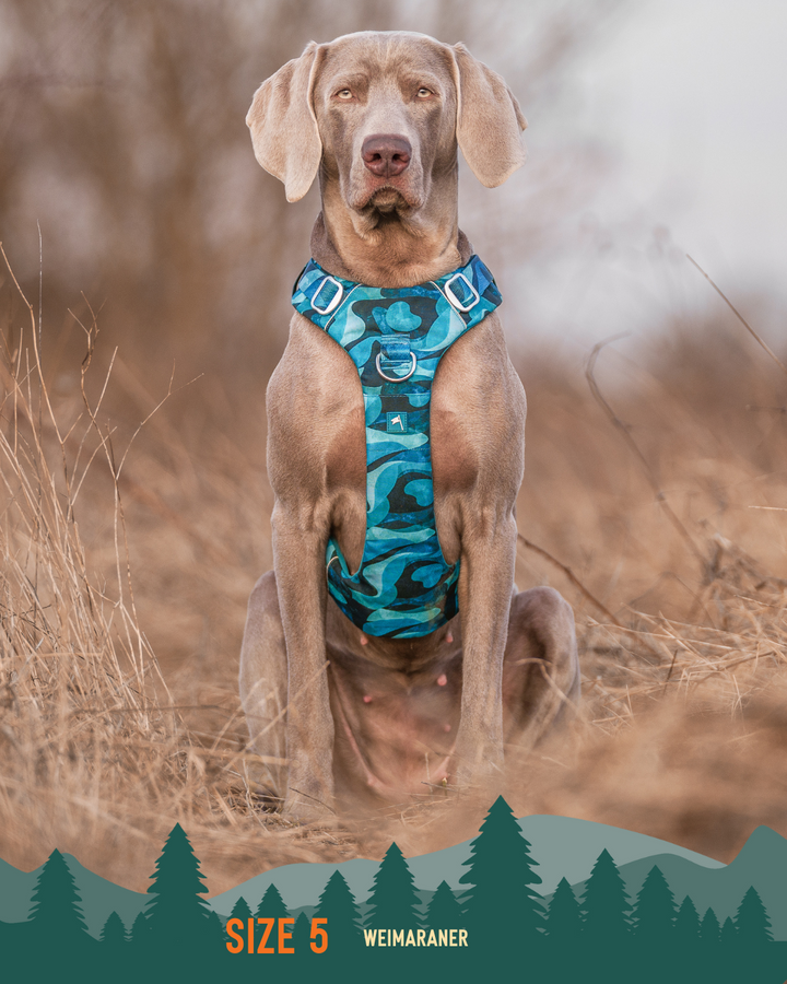 Adventure Harness 2.0