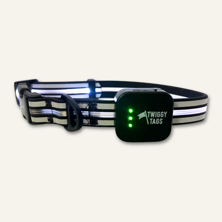 TrekBright® Light-Up Collar