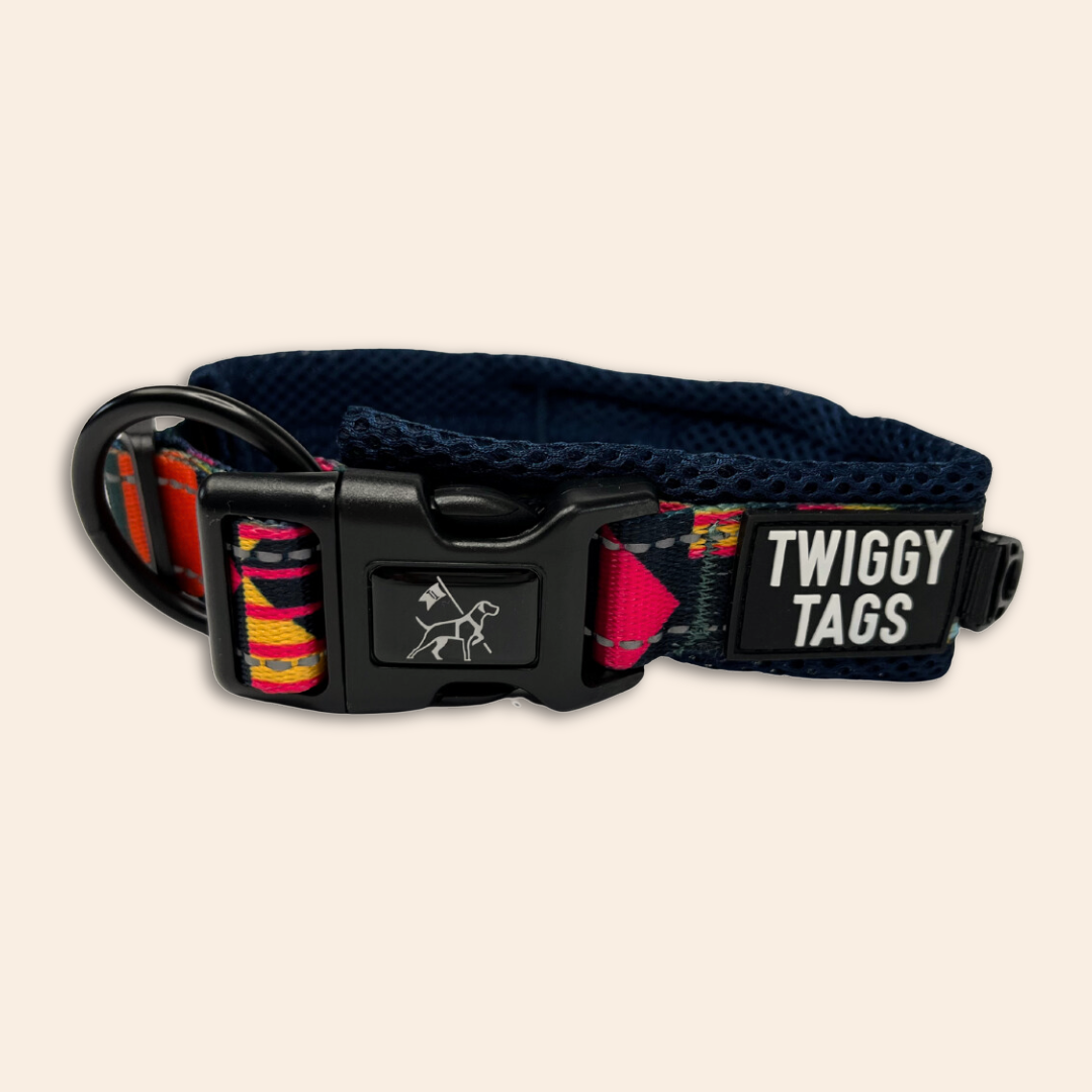 Adventure dog collar hotsell
