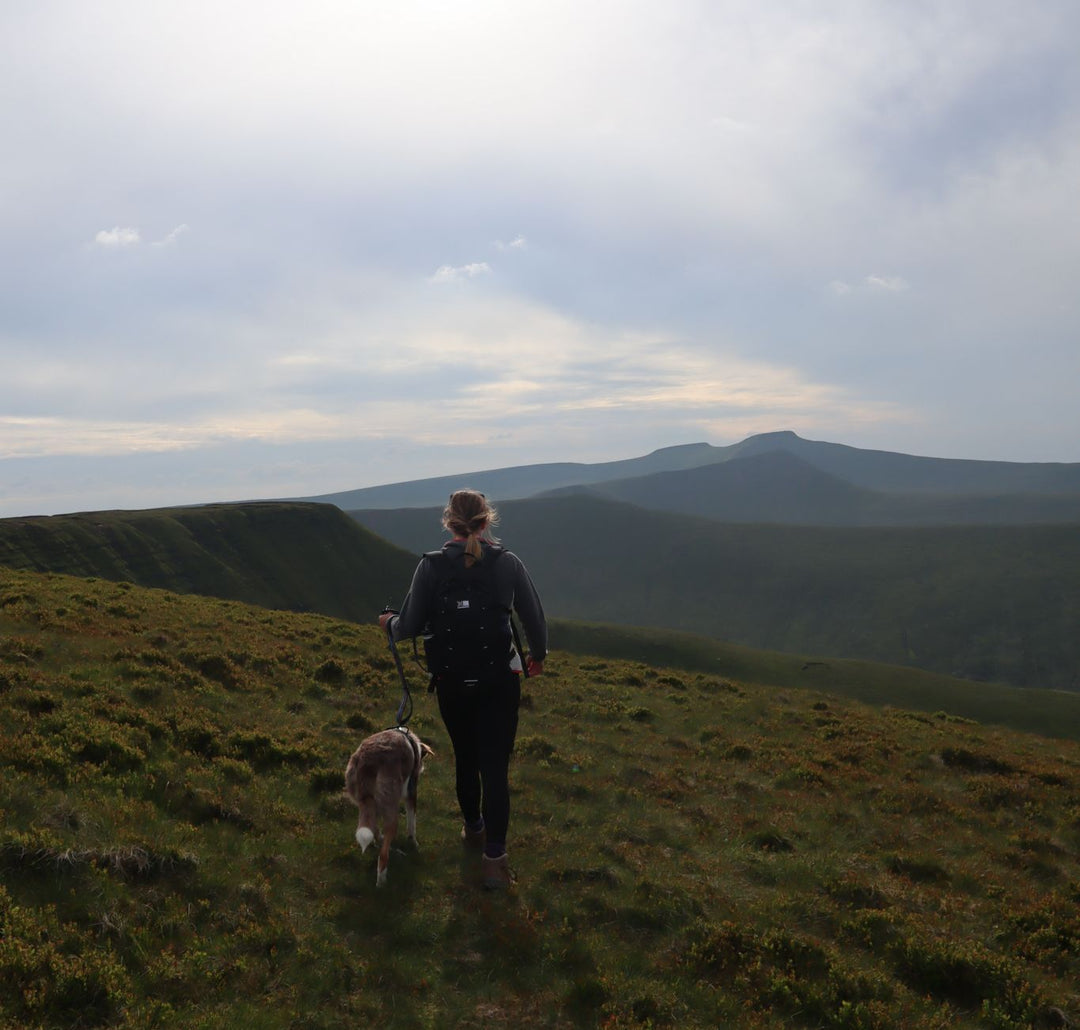 How to Prepare Your Dog For Hiking