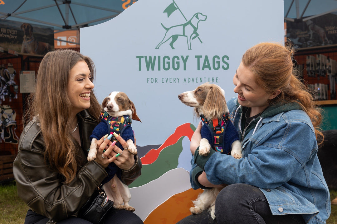 Twiggy Tags Events & Shows 2025
