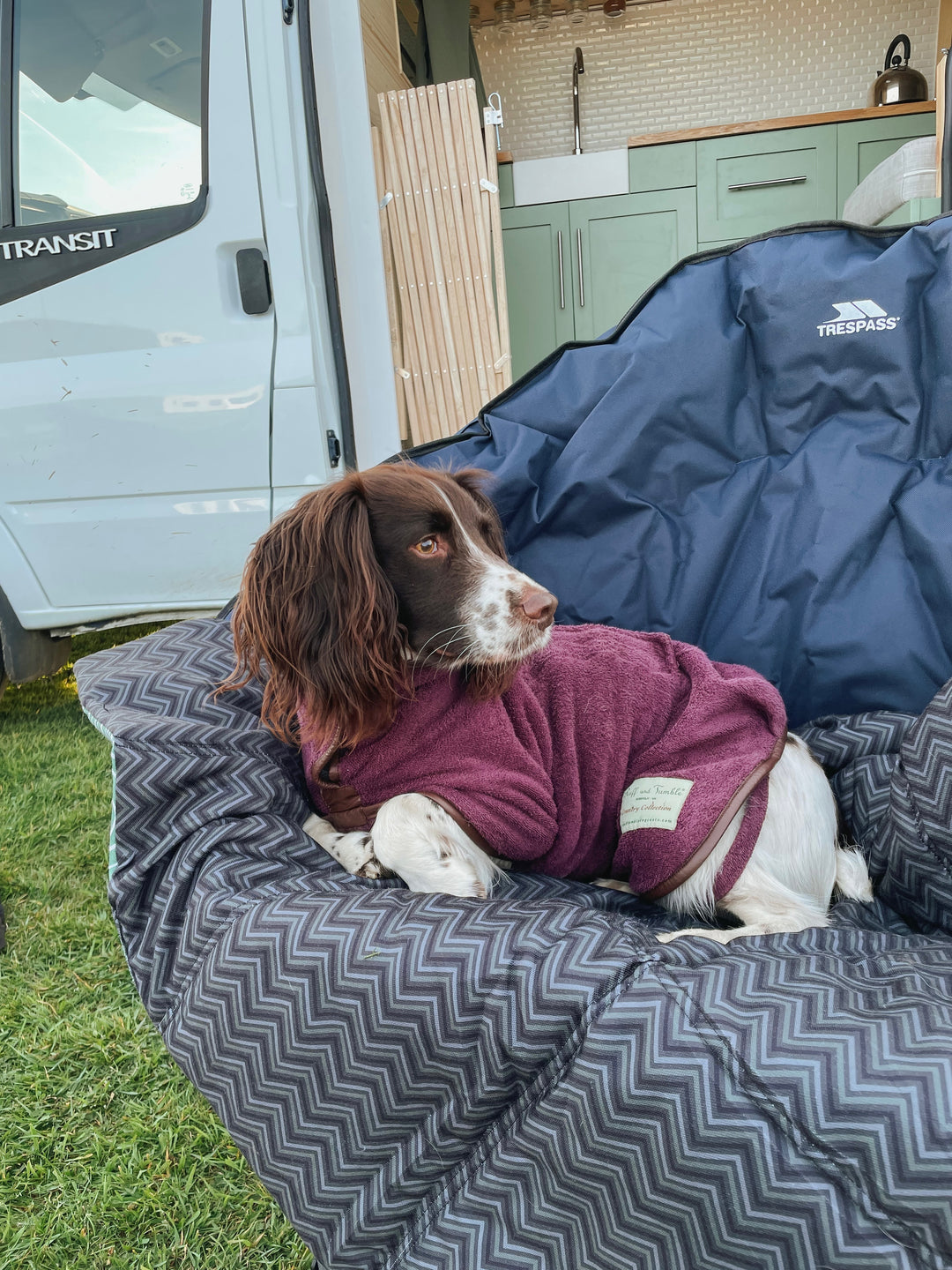 Travelling and Camping With Two Dogs