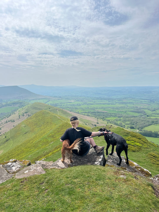 5 Things to do With Your Dog in the Bannau Brycheiniog National Park (Brecon Beacons)