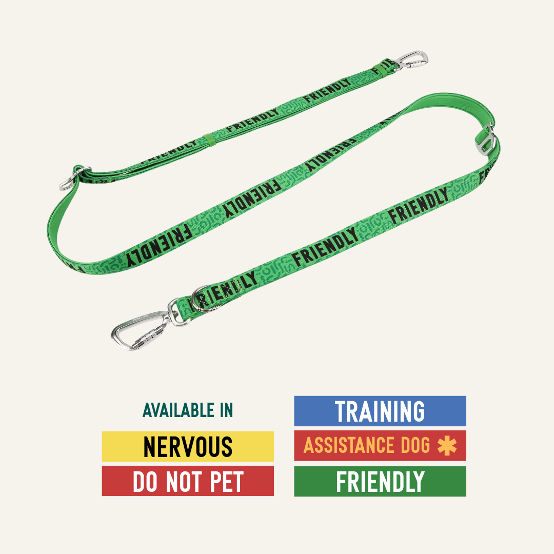 Awareness Multi-Way Lead