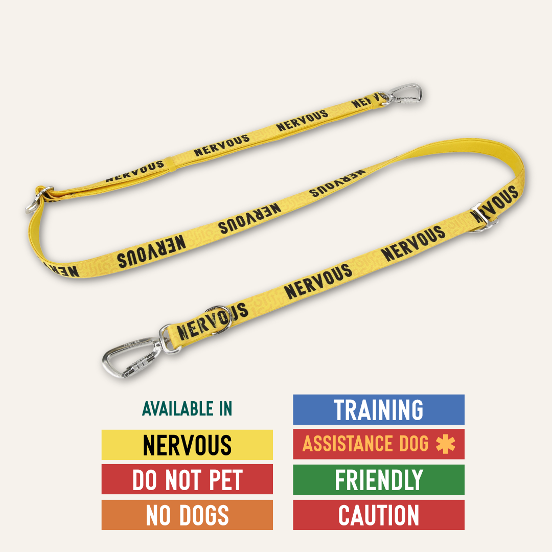 Awareness Multi-Way Lead