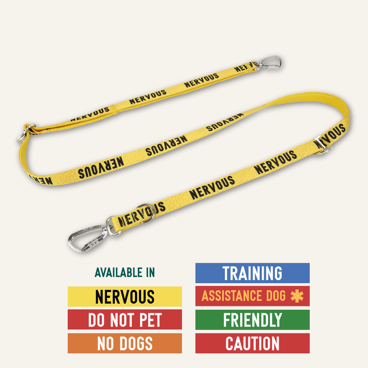 Awareness Multi-Way Lead