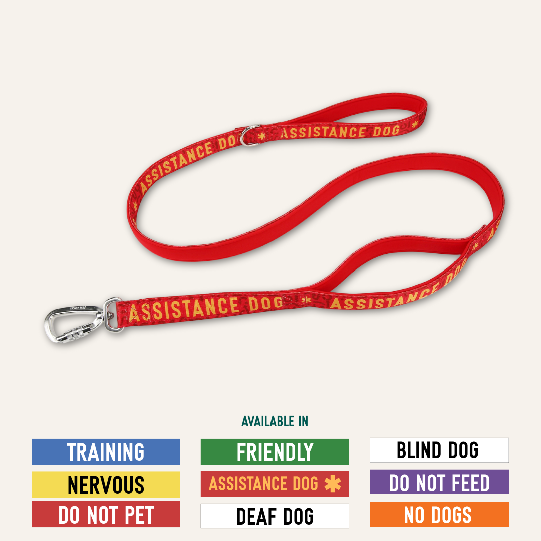 Awareness Close Control Lead