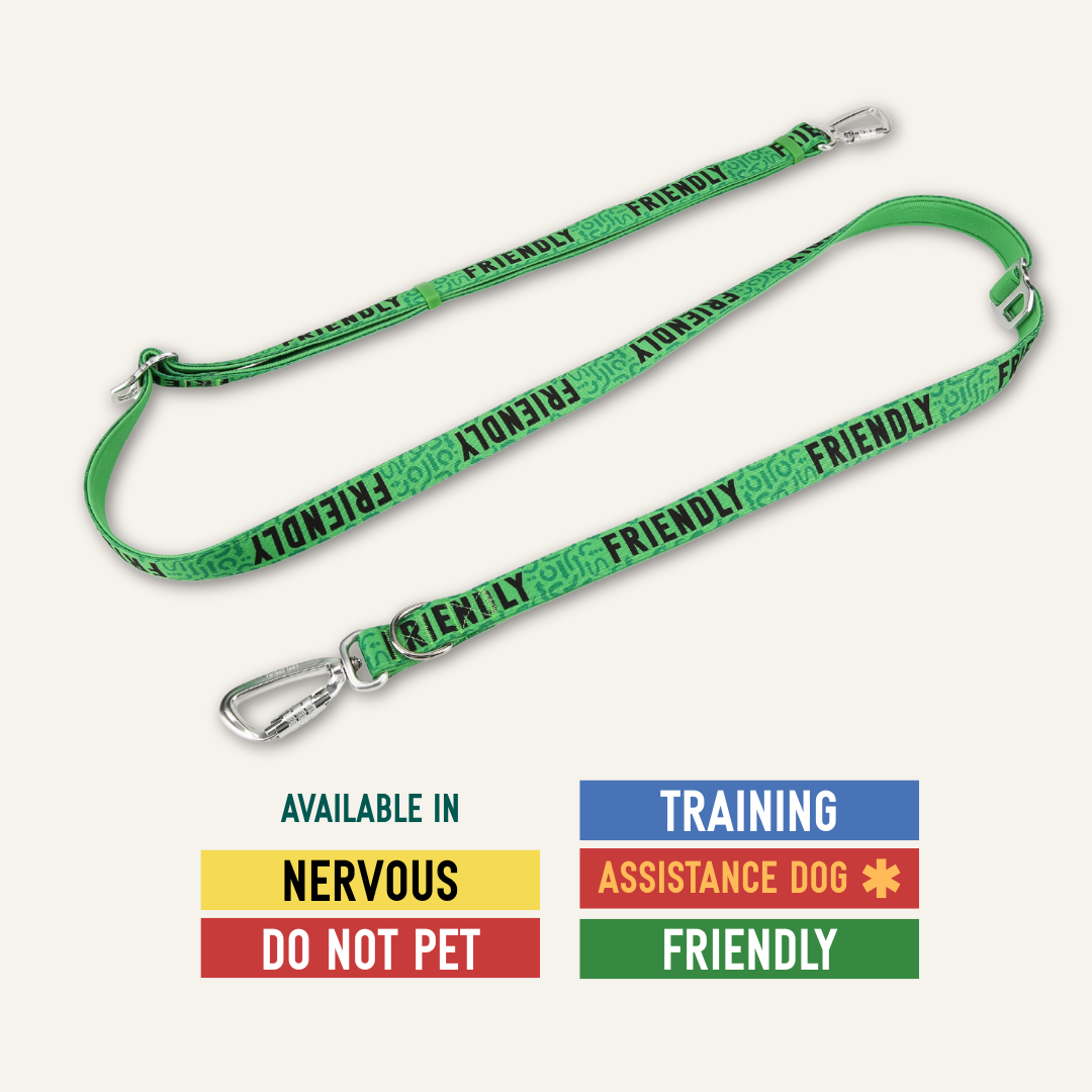 Awareness Multi-Way Lead