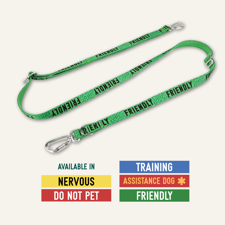 Awareness Multi-Way Lead