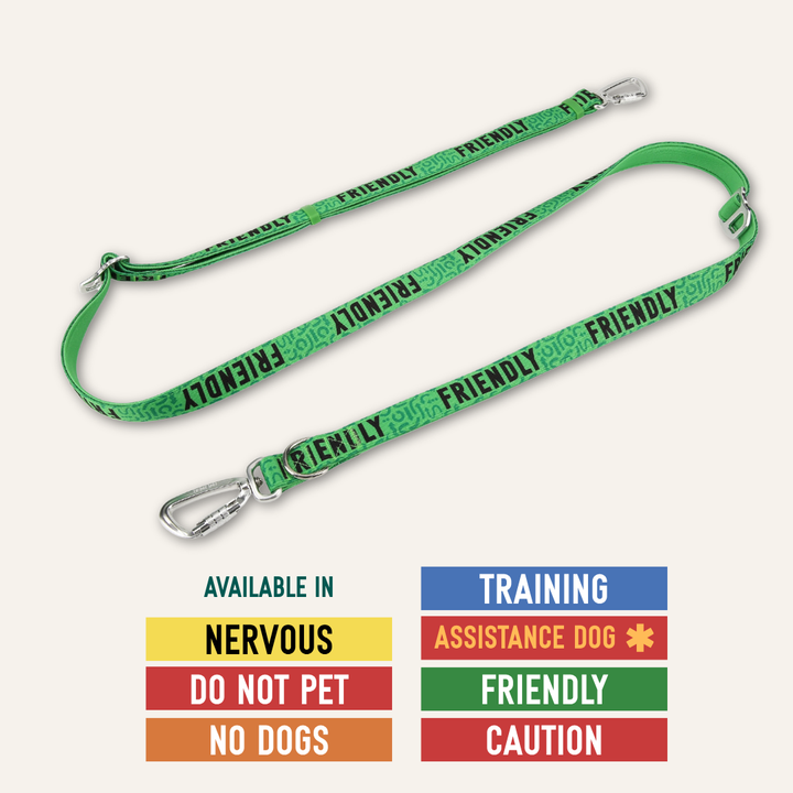 Awareness Multi-Way Lead