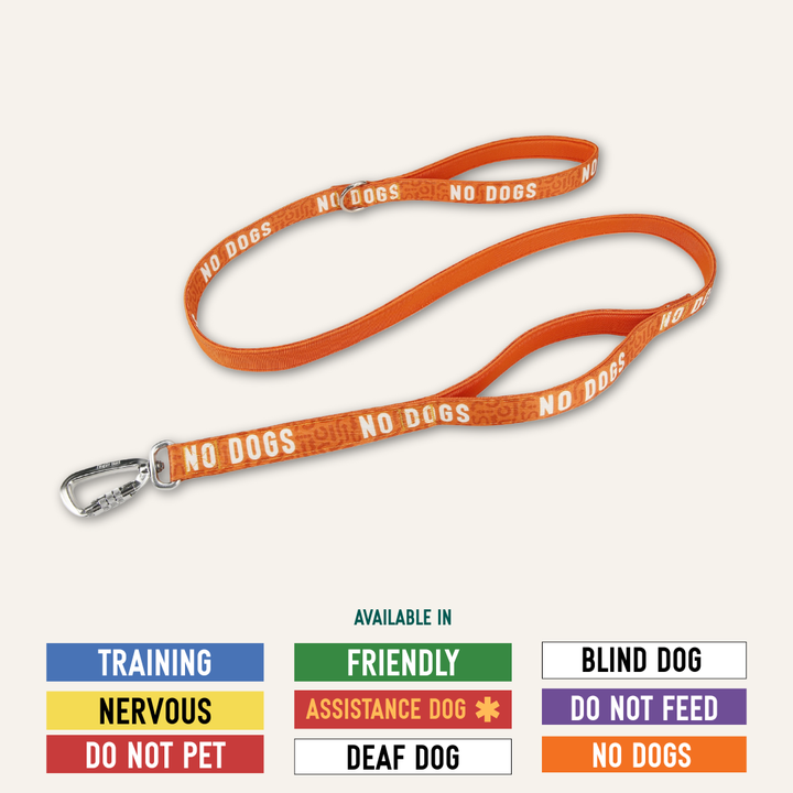 Awareness Close Control Lead