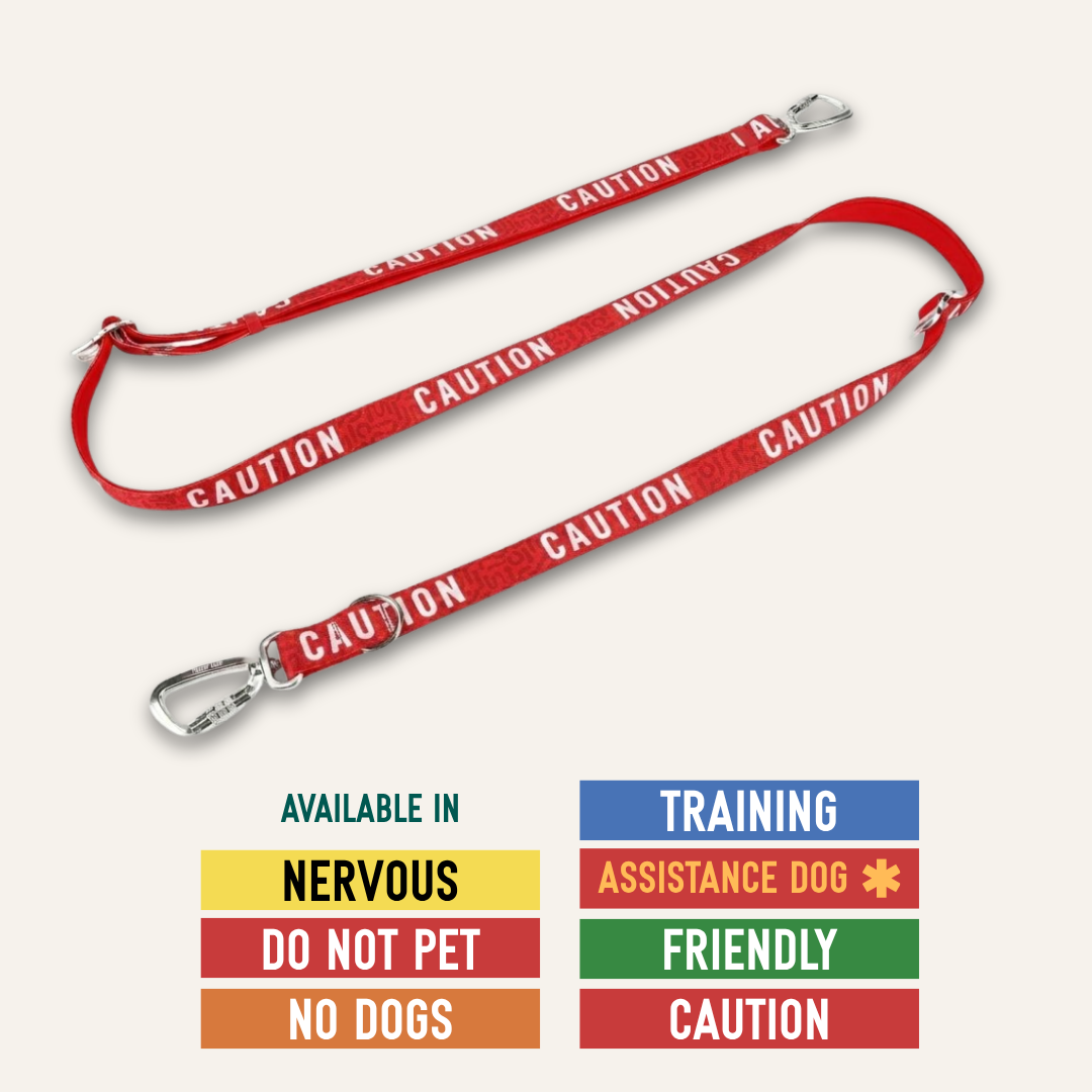 Awareness Multi-Way Lead