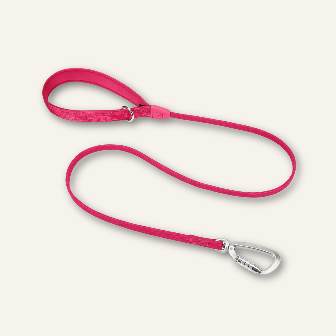 Bungee Lead