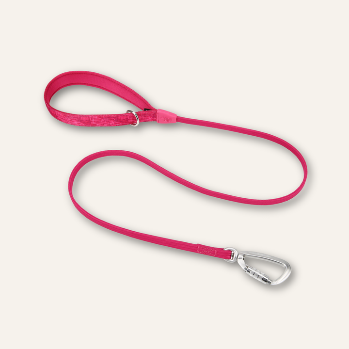 Bungee Lead