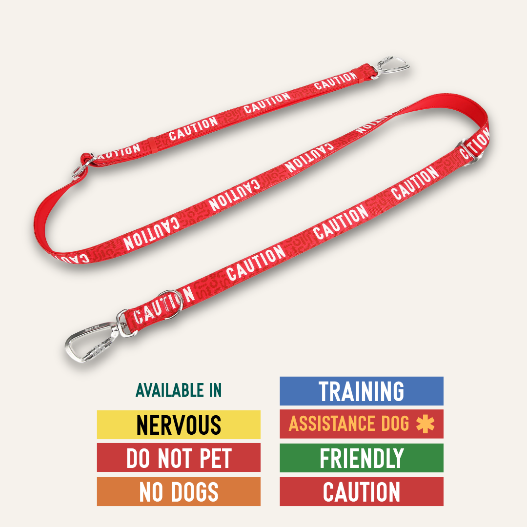 Awareness Multi-Way Lead