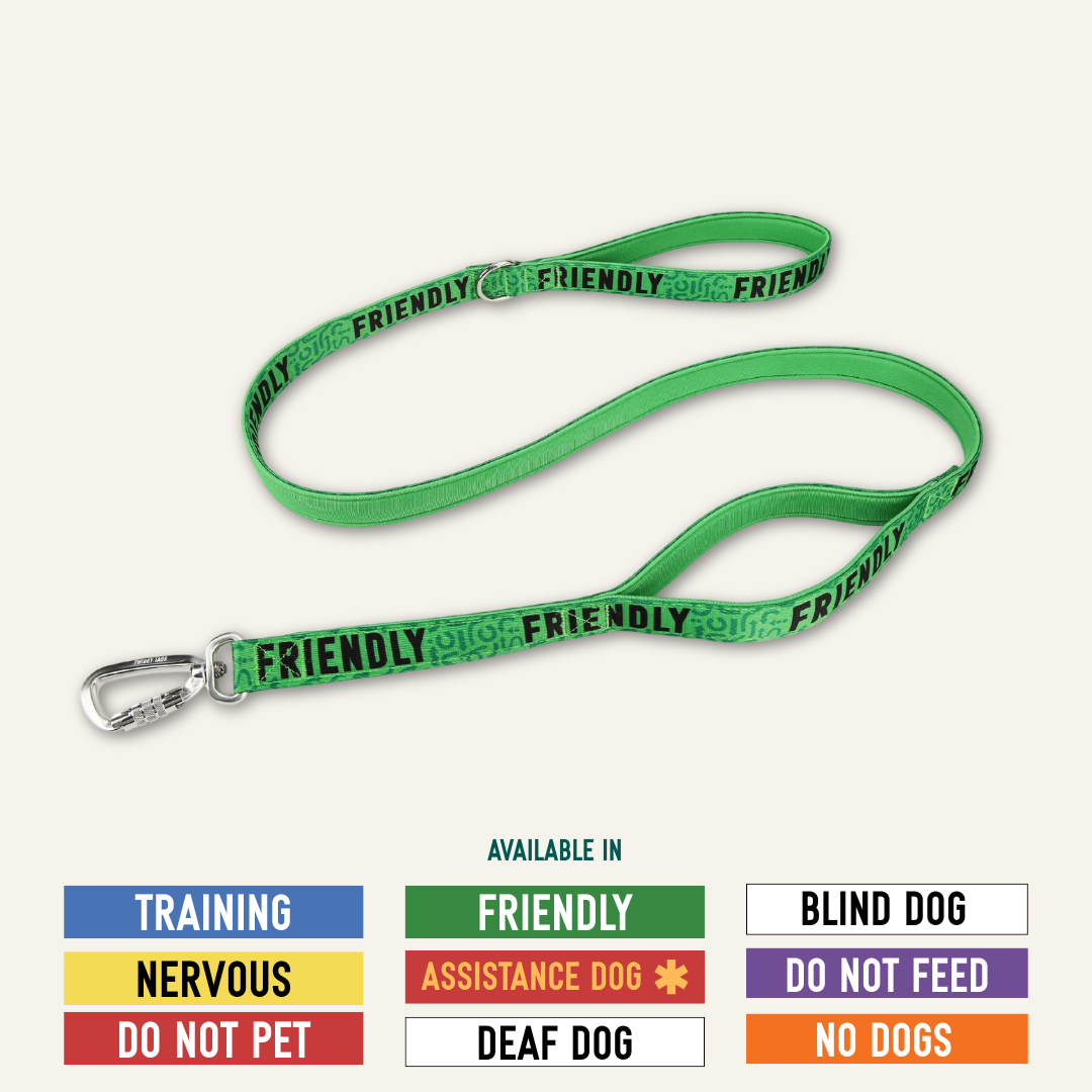 Awareness Close Control Lead