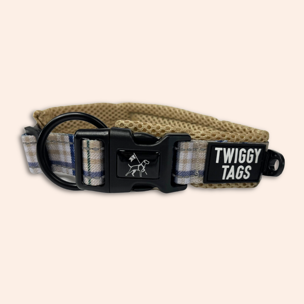 Heritage 2024 dog collars