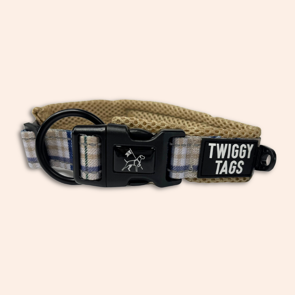 Heritage clearance dog collars