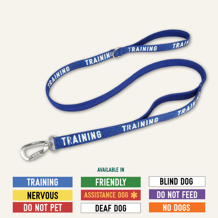 Awareness Close Control Lead