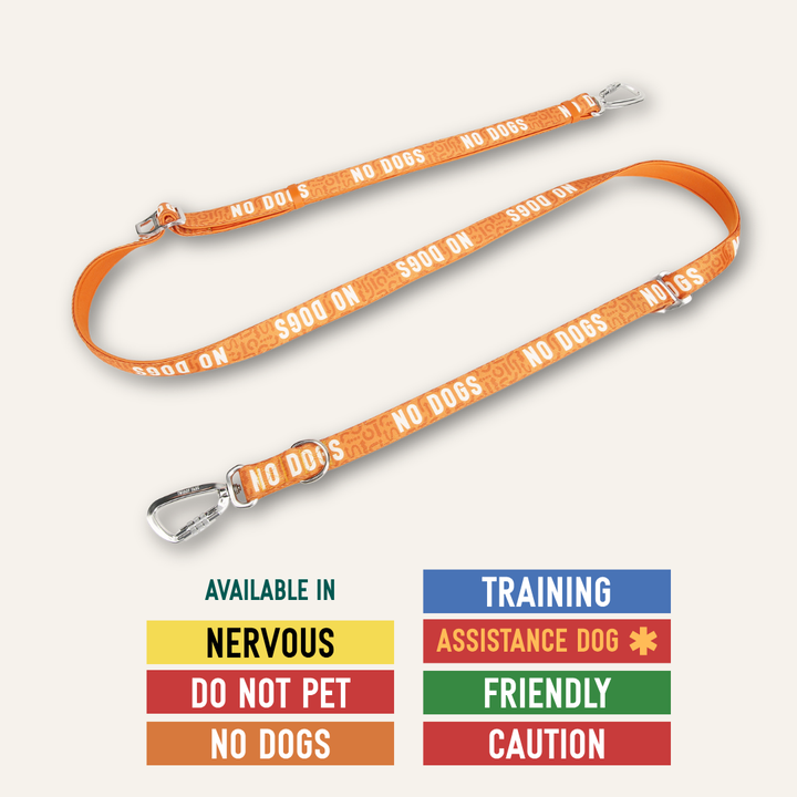 Awareness Multi-Way Lead