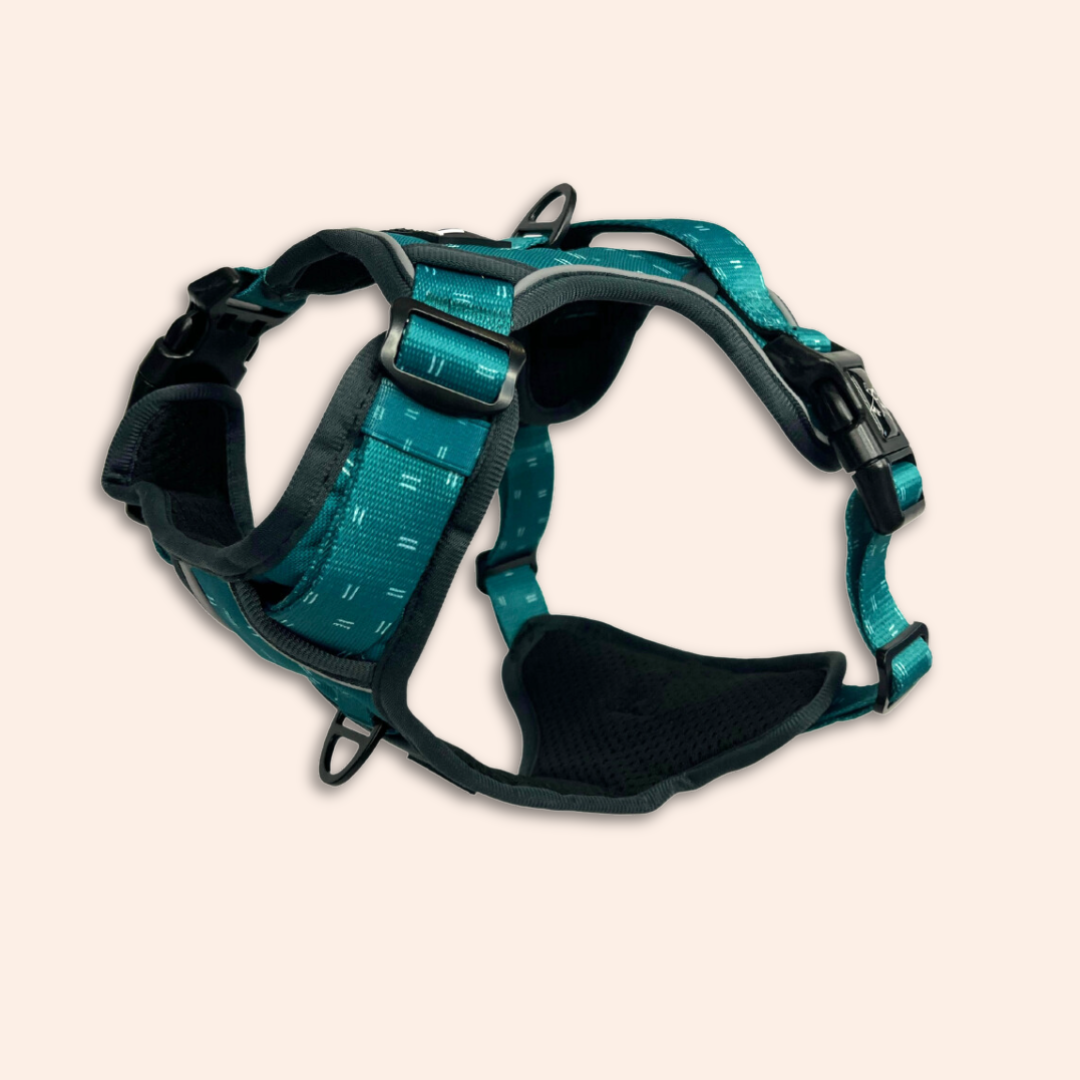 Adventure Harness  - Tranquil (Limited Edition)
