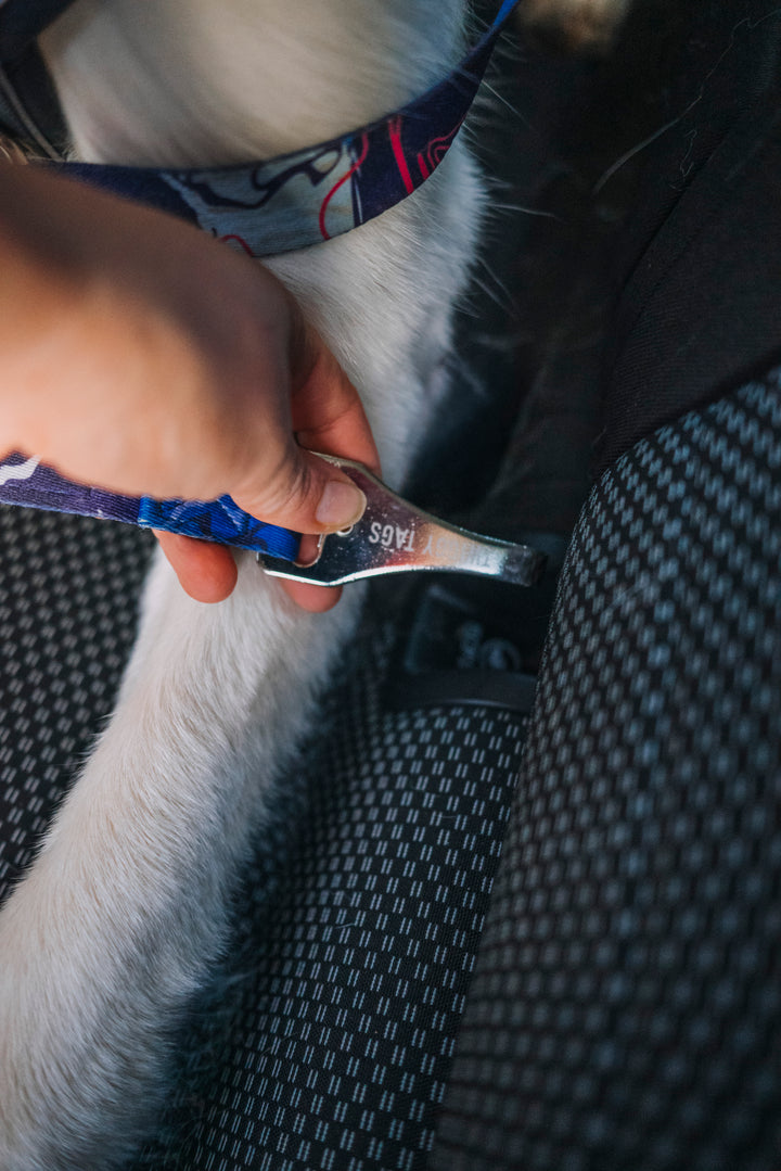 ISOFIX Seat Belt
