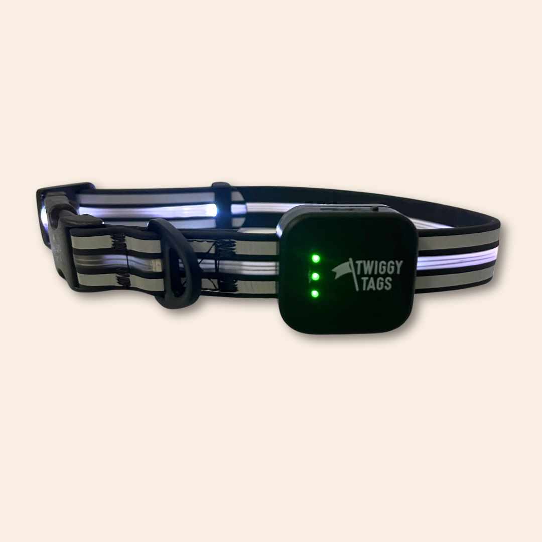 TrekBright™ Light-Up Collar