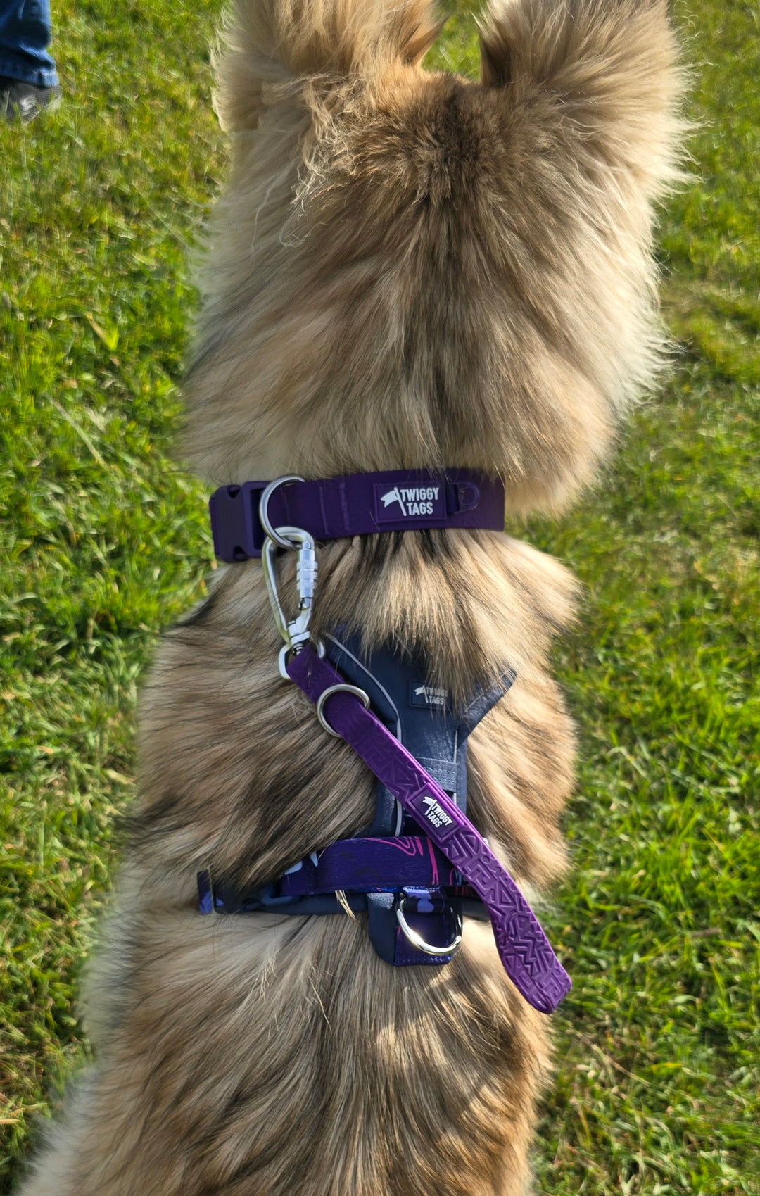 Tidal Waterproof Grab Handle - Amethyst