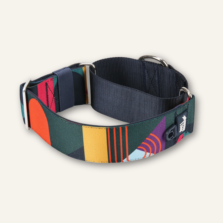 Martingale Collar