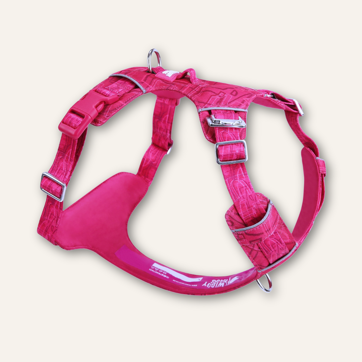 Adventure Harness Lite