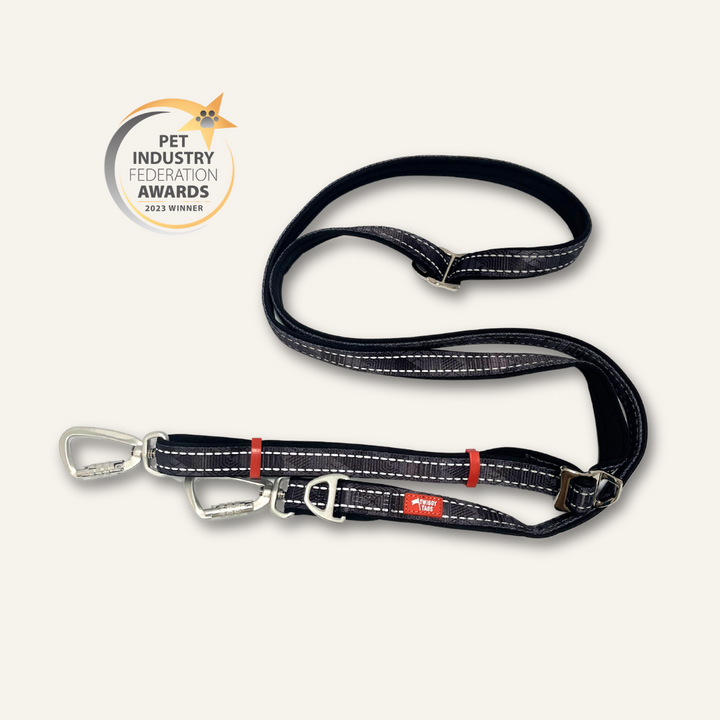 Multi-Way Lead