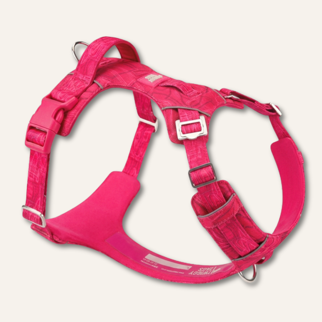 Adventure Harness