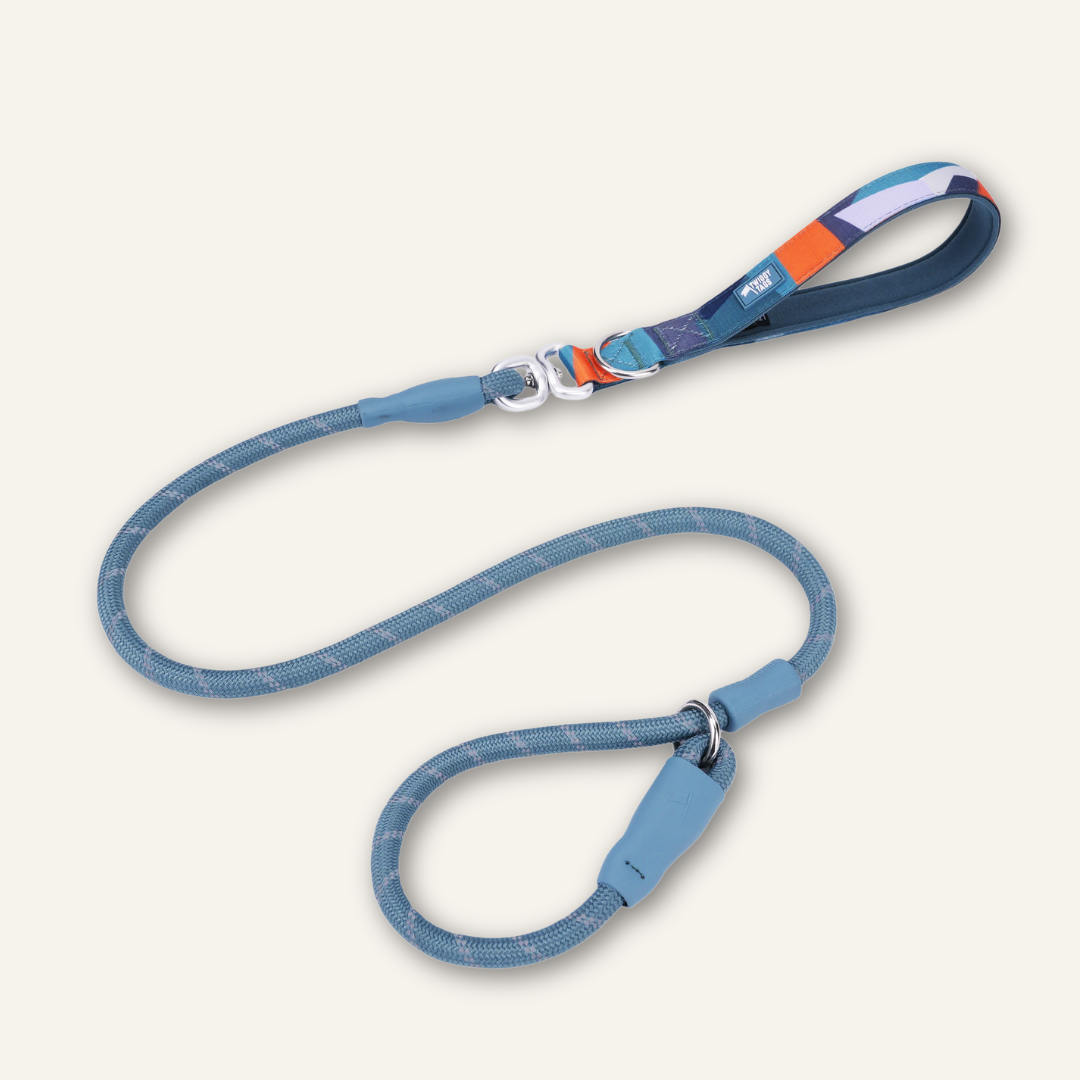 Slip Lead