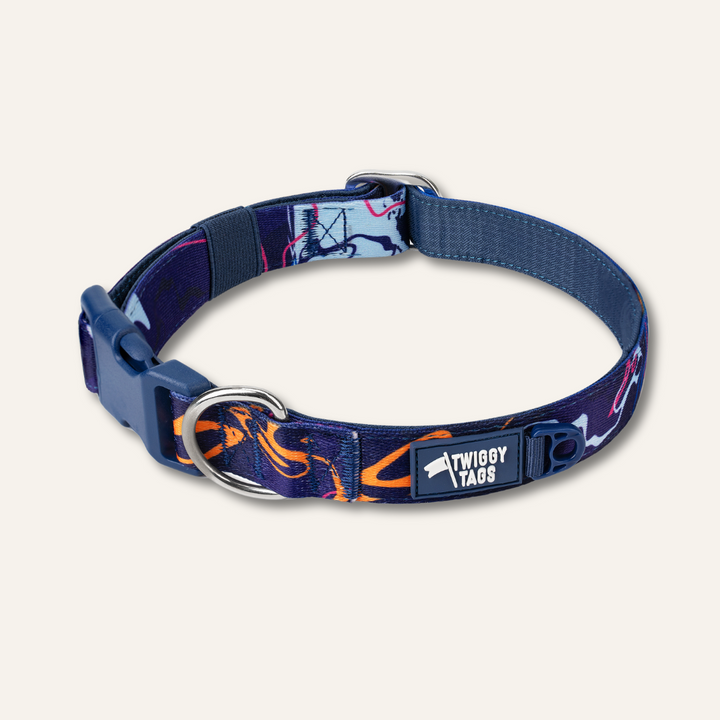 Apex® Collar - Nebula