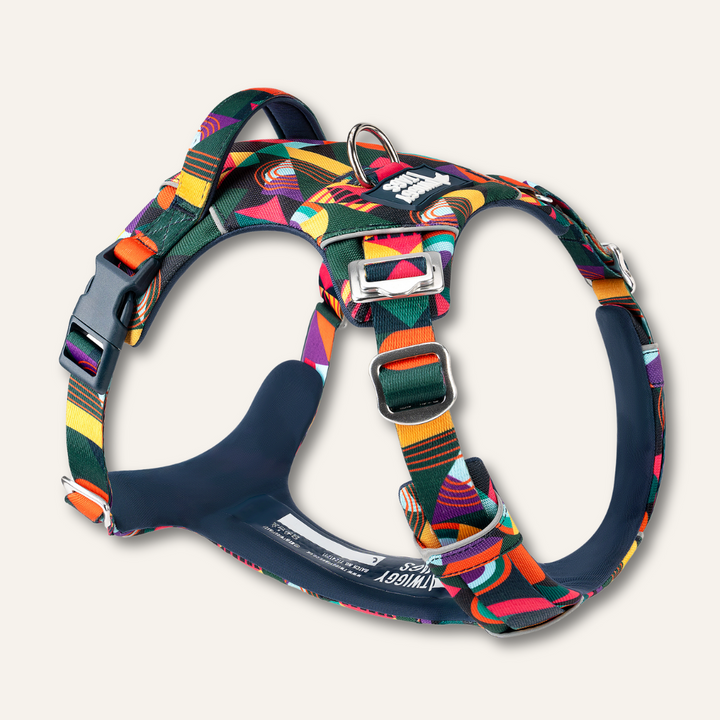 Adventure Harness 2.0 - Aurora