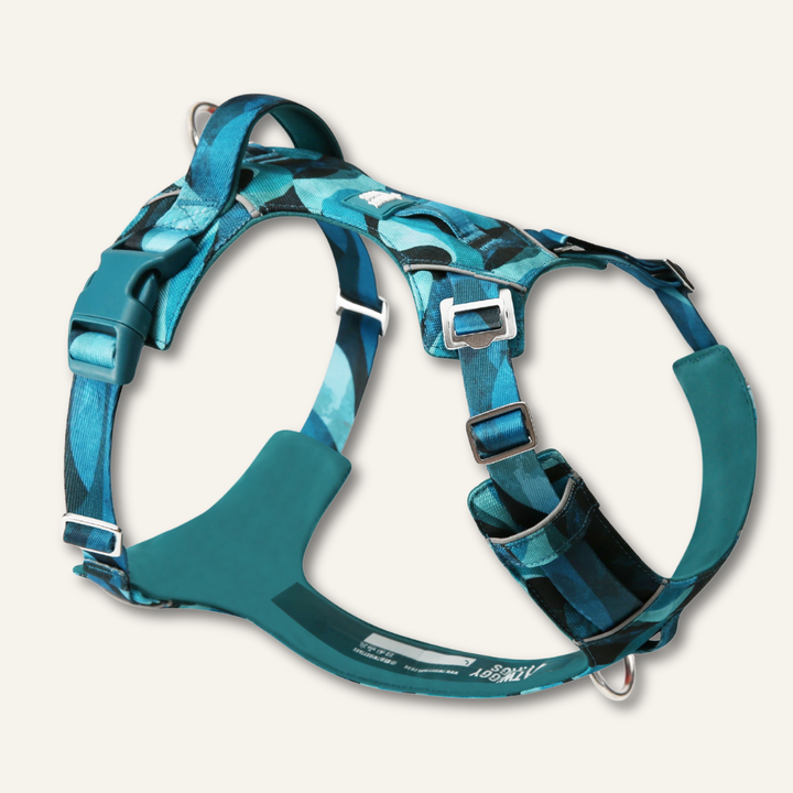 Adventure Harness