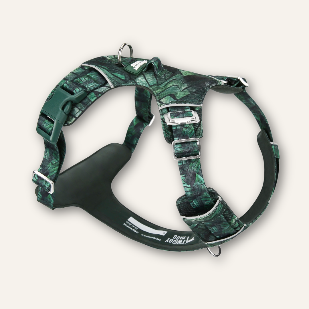 Adventure Harness Lite