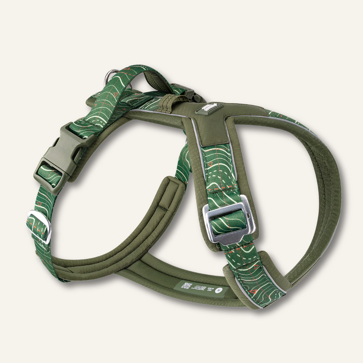 Apex® Harness - Nomad