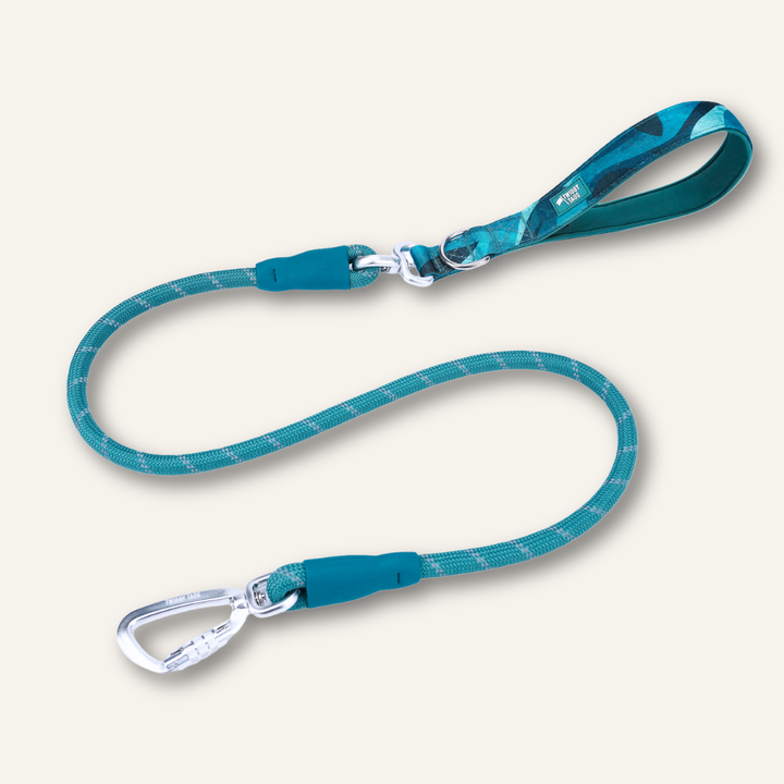 Rope Lead
