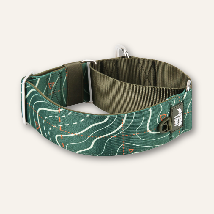 Martingale Collar